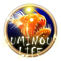 Luminous Life